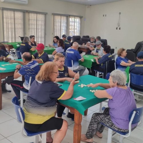 Jogos de Mesa do Viva Melhor participa de campeonato interno